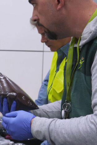 Control de fronteras: España: Episodio 11