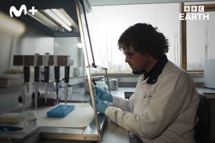 La hora de la naturaleza: Entendimiento