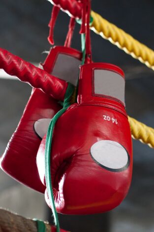 Boxeo: velada Fielding vs Álvarez (T2018): Lamont Roach Jr vs Alberto Mercado