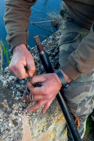 Islas con tradición: Cucadas y poteras