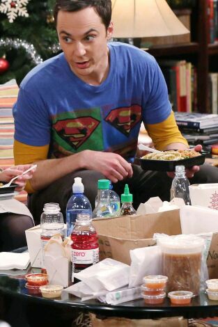 Big Bang (T8): Ep.11 La infiltración en la sala blanca