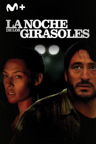 La noche de los girasoles