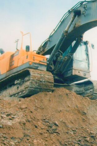 La fiebre del oro: ¿Quién es el jefe?