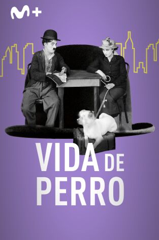 Vida de perro