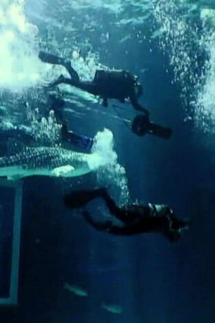 ¿Cómo lo hacen?: Baterías orgánicas y Bentleys