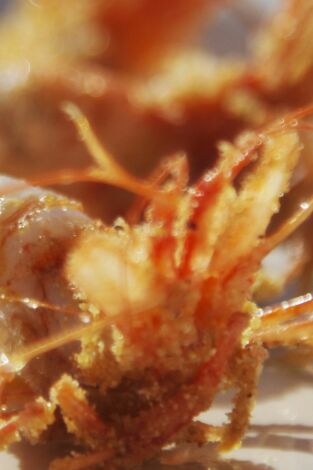 Jose Andrés y familia en España: Asturias