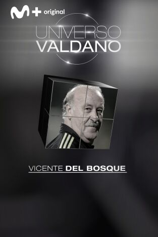 Universo Valdano (T3): Vicente del Bosque