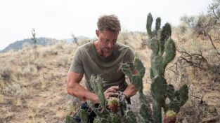 Tracker (T3): Ep.4 Tierra de nadie