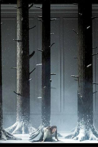 Wagner : Die Walküre - Opernhaus Zurich