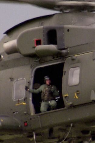 ¿Cómo lo hacen?: Élices y arrecife artificial