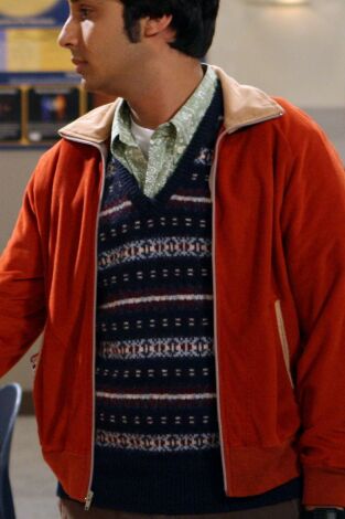 Big Bang (T4): Ep.10 La hipótesis del parásito alienígena