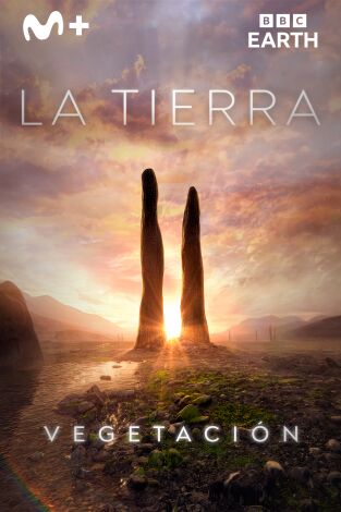 La Tierra: Vegetación