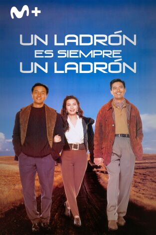 Un ladrón siempre es un ladrón