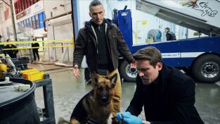 Hudson y Rex (T1): Ep.15 Sobre hielo