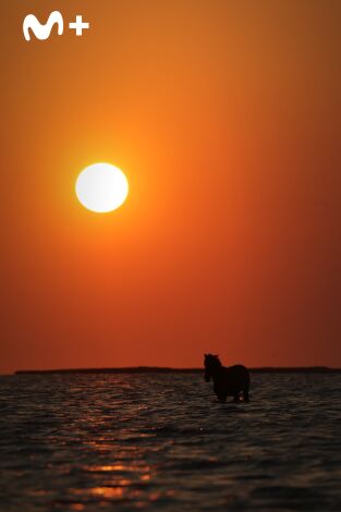 The Americas: La Costa Atlántica