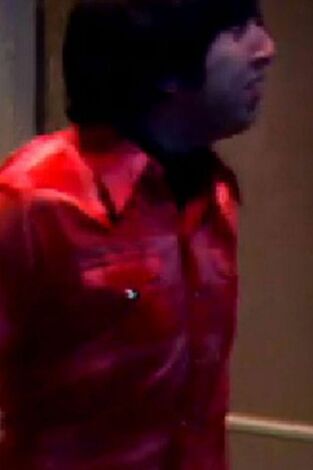 Big Bang (T4): Ep.16 La fórmula de la cohabitación