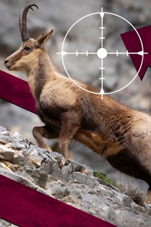 Recechando en las alturas