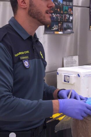 Control de fronteras: España: Episodio 4