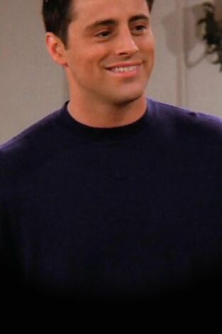 Friends (T2): Ep.16 En el que Joey se va