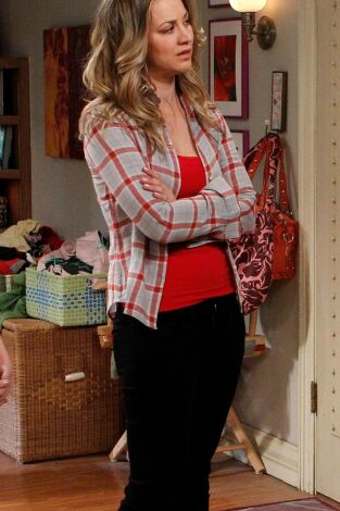 Big Bang (T5): Ep.17 La desinfectación de Rothman