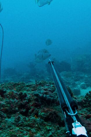 Pesca submarina en los mares del sur: Episodio 4