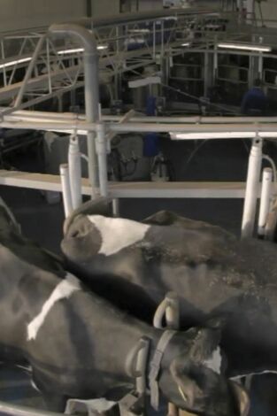 ¿Cómo lo hacen?: Episodio 12