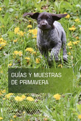 Guias y muestras de primavera