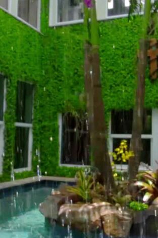 Superpiscinas: Piscina y vida