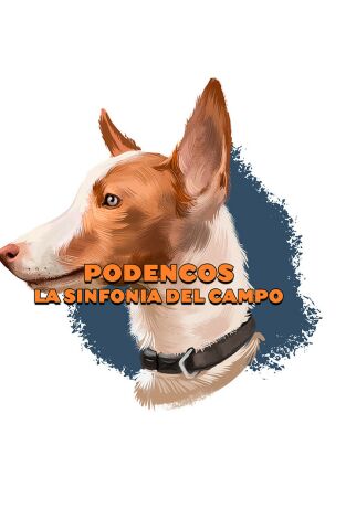 Podencos: la sinfonía del campo