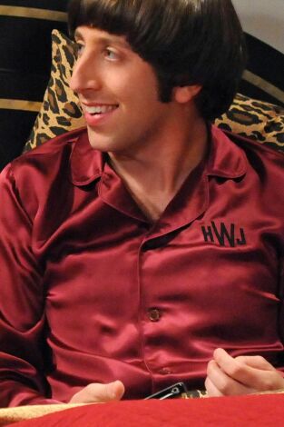 Big Bang (T5): Ep.21 La excitación de Hawking