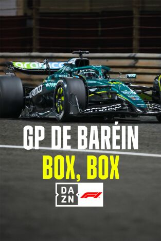 Mundial F1 - GP de Baréin (T2025): Box, Box