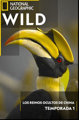 Los reinos ocultos de China: Supervivencia en las praderas