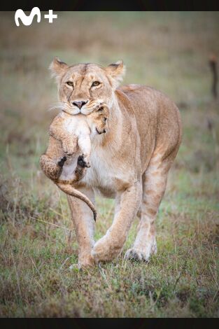 Parenthood: Episodio 1