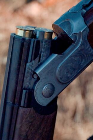 Locos por el 20: Perdices manchegas