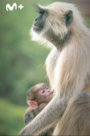 Parenthood: Episodio 3