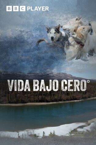Vida bajo cero