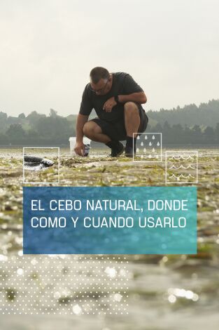 El cebo natural: donde, cómo y cuándo usarlo