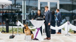 Hudson y Rex (T2): Ep.3 Bajo la influencer