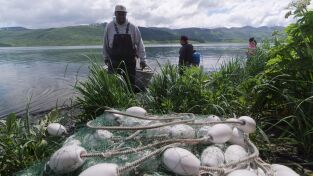 Los primeros habitantes de Alaska: Buena medicina