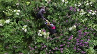 Los primeros habitantes de Alaska: Una base fuerte