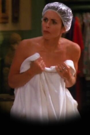 Friends (T1): Ep.13 El de los melones