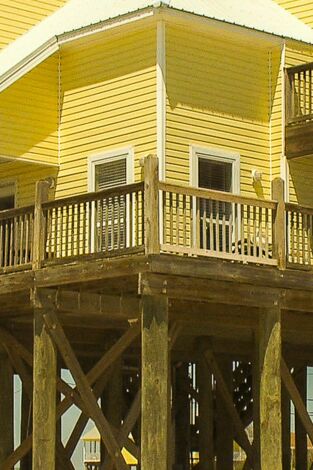 Quiero vivir en la playa: Hermanos de playa