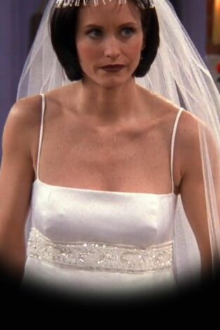 Friends (T4): Ep.20 El de los vestidos de boda
