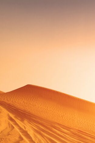 Programas Extreme E (T2023): Head - To - Head Finals