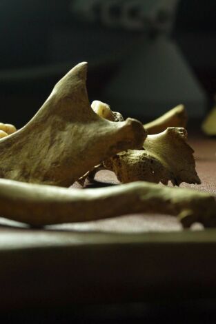 El ADN perdido: Secretos de la Tumba