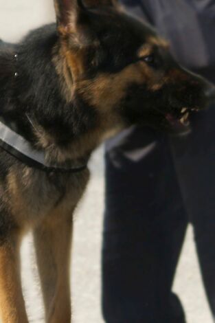 Control de fronteras: España: Episodio 8