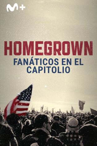 Homegrown: fanáticos en el Capitolio