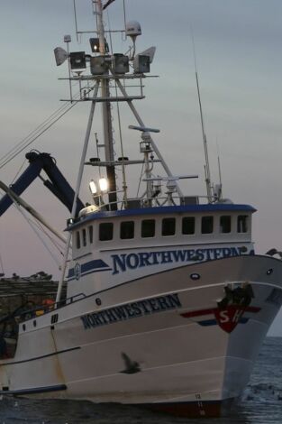 Pesca radical: Sangre y vísceras