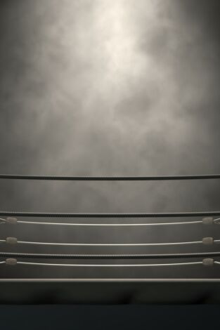 Boxeo: combate George Foreman vs Luis Pires