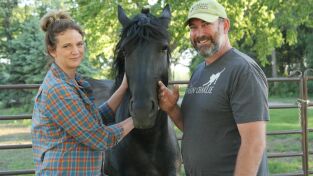 Veterinarios de Nebraska: Corazón y Potro